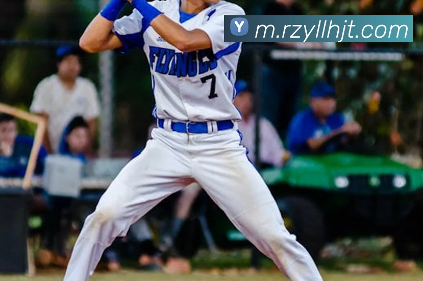 leyu乐鱼品牌故事